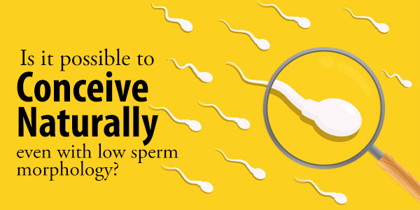 Struggling to conceive can be an emotional journey for many couples, and learning about low sperm morphology can add to the stress. If you or your partner have been diagnosed with low sperm morphology, you might be wondering if natural conception is still possible. The good news is that it often is! In this blog, we’ll break down what low sperm morphology means, how it impacts fertility, and practical steps you can take to improve your chances of conceiving naturally. What Is Sperm Morphology Sperm morphology refers to the shape and structure of sperm. For sperm to successfully fertilize an egg, it needs to have a normal shape, including an oval head and a long tail, to swim effectively and penetrate the egg. In a semen analysis, normal sperm morphology is typically assessed using strict criteria (like the Kruger strict criteria), where ideally at least 4% of sperm should have a normal shape. Low sperm morphology means that a higher percentage of sperm have abnormal shapes, which can make conception more challenging—but not impossible. Does Low Sperm Morphology Mean Infertility Not necessarily. While low sperm morphology can reduce the chances of conception, it doesn’t mean you can’t conceive naturally. Fertility depends on several factors, including sperm count, motility (how well sperm swim), and overall health of both partners. Even with low morphology, if other parameters are healthy, conception is still possible. For example, it only takes one healthy sperm to fertilize an egg, and men with low morphology often still produce millions of sperm per ejaculation, some of which may be normal. Factors That Affect Sperm Morphology Several factors can contribute to low sperm morphology, including Lifestyle Choices Smoking, excessive alcohol consumption, drug use, and poor diet can negatively affect sperm quality. Environmental Factors Exposure to toxins, chemicals, or excessive heat (like from hot tubs or tight clothing) can impact sperm shape. Medical Conditions Varicocele (enlarged veins in the scrotum), infections, or hormonal imbalances can lead to abnormal sperm morphology. Genetics Some men may naturally have a higher percentage of abnormally shaped sperm due to genetic factors. Understanding the cause can help you take steps to improve sperm health and increase your chances of conception. Can You Conceive Naturally with Low Sperm Morphology Yes, it’s often possible to conceive naturally even with low sperm morphology. Here are some strategies to improve your odds 1. Optimize Lifestyle for Better Sperm Health Making healthier lifestyle choices can improve sperm morphology over time, as sperm production takes about 60-90 days. Consider these tips Eat a Nutrient-Rich Diet Focus on foods high in antioxidants, such as fruits (berries, citrus), vegetables (leafy greens), nuts, and seeds. Zinc (found in oysters, beef, and pumpkin seeds) and folate (in spinach and lentils) are particularly important for sperm health. Exercise Regularly Moderate exercise can boost overall health and testosterone levels, which support sperm production. Avoid overtraining, as it can increase stress on the body. Avoid Toxins Quit smoking, reduce alcohol intake, and steer clear of recreational drugs. Also, minimize exposure to environmental toxins like pesticides or heavy metals. Keep Cool Avoid hot tubs, saunas, and tight underwear that can overheat the testicles, as heat can impair sperm production. 2. Time Intercourse Strategically To maximize your chances of conception Track Ovulation Use ovulation predictor kits or track your partner’s menstrual cycle to identify her fertile window, which is typically 5 days before ovulation and the day of ovulation. Have Regular Intercourse Aim for every 1-2 days during the fertile window to ensure a higher chance of healthy sperm reaching the egg. 3. Manage Stress and Support Overall Health Stress can negatively affect fertility by disrupting hormone levels. Try Stress-Reduction Techniques Practices like meditation, yoga, or deep breathing can help reduce stress. Get Enough Sleep Aim for 7-8 hours of quality sleep per night to support overall health and hormone production. 4. Consider Supplements (With Caution) Some supplements may help improve sperm morphology, but always consult a doctor before starting any new regimen. Common options include Coenzyme Q10 May improve sperm motility and morphology. Vitamin C and E Antioxidants that can protect sperm from damage. Selenium and Zinc Essential minerals for sperm production. 5. Consult a Fertility Specialist If you’ve been trying to conceive for over a year (or 6 months if the female partner is over 35) without success, it may be time to see a specialist. They can Perform a Semen Analysis To get a detailed picture of sperm count, motility, and morphology. Check for Underlying Issues Conditions like varicocele or hormonal imbalances can be treated to improve sperm health. Discuss Assisted Reproductive Techniques If natural conception isn’t possible, options like intrauterine insemination (IUI) or in vitro fertilization (IVF) can help. When Is Medical Intervention Necessary If lifestyle changes don’t improve sperm morphology or if other fertility issues are present, medical intervention might be needed. A doctor may recommend Surgery For conditions like varicocele, surgery can improve sperm quality. Hormone Therapy If low testosterone or other hormonal imbalances are affecting sperm production. Assisted Reproduction Techniques like IUI or IVF can bypass morphology issues by directly introducing sperm to the egg. Hope for the Future It’s Not the End of the Road Low sperm morphology can feel discouraging, but it’s not a definitive barrier to conception. Many couples with this challenge go on to conceive naturally or with minimal medical help. The key is to take proactive steps, stay patient, and seek support when needed. By focusing on overall health, timing, and communication with your partner, you can improve your chances of starting the family you’ve been dreaming of. Conclusion Take the First Step Today Conceiving naturally with low sperm morphology is possible for many couples with the right approach. Start by making healthy lifestyle changes, tracking ovulation, and consulting a healthcare provider if needed. Don’t let low sperm morphology hold you back—there’s hope, and you’re not alone on this journey.