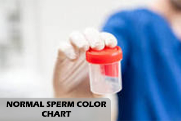 Normal Sperm Color Chart
